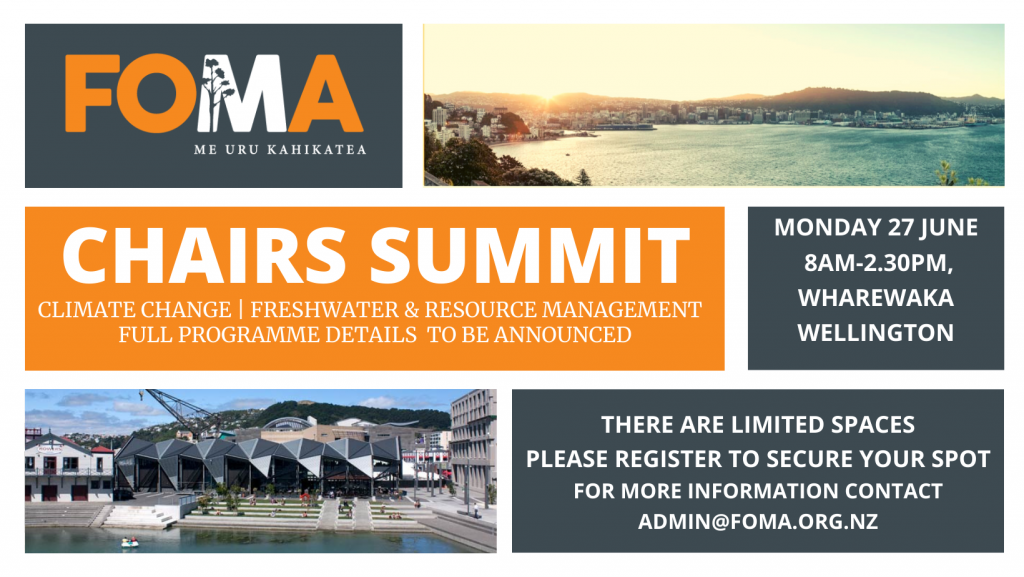 FOMA-CHAIRS-SUMMIT